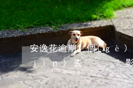 安逸花逾期3個(gè)月非要全部還進(jìn)去？影響嚴(yán)重，解決方案大公開！